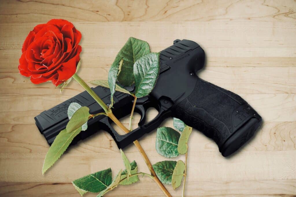 A pistol and a rose. Open-mindedness will become real when tolerance transforms into acceptance 